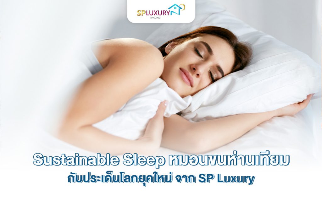 Sustainable Sleep ทำไมหมอนขนห่านเทียมจึงกลายเป็นตัวเลือกของคนยุคใหม่